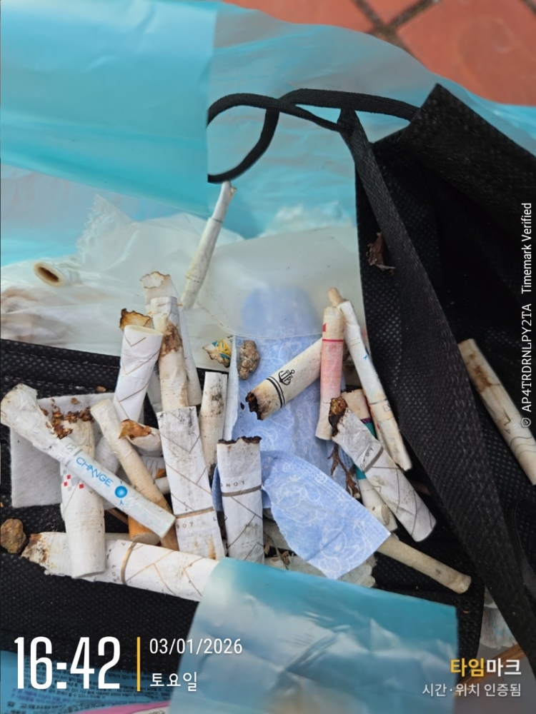 c5e06a8ecdeaad67464f01f3665a24a6_1768195