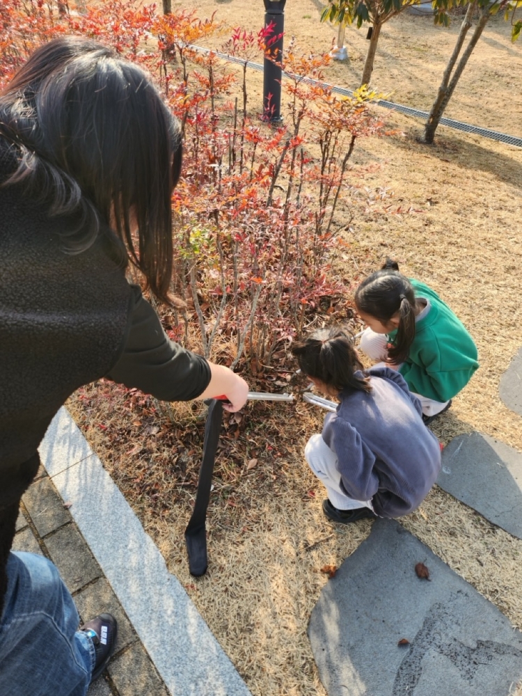 de9d7091ac50abd9aeceee4e110c2fbb_1768788